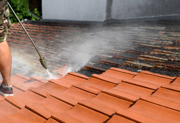 Best Exterior Home Cleaning  in Bruceville Eddy, TX