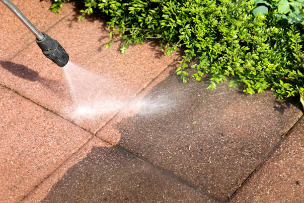 Best Power Washing Near Me  in Bruceville Eddy, TX